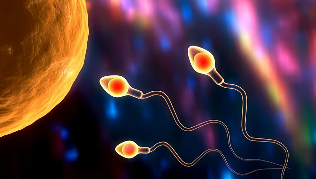 Azospermi nedir?