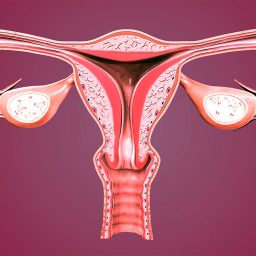 Yumurtalik rezervi nedir?