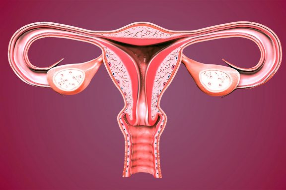 Yumurtalik rezervi nedir?